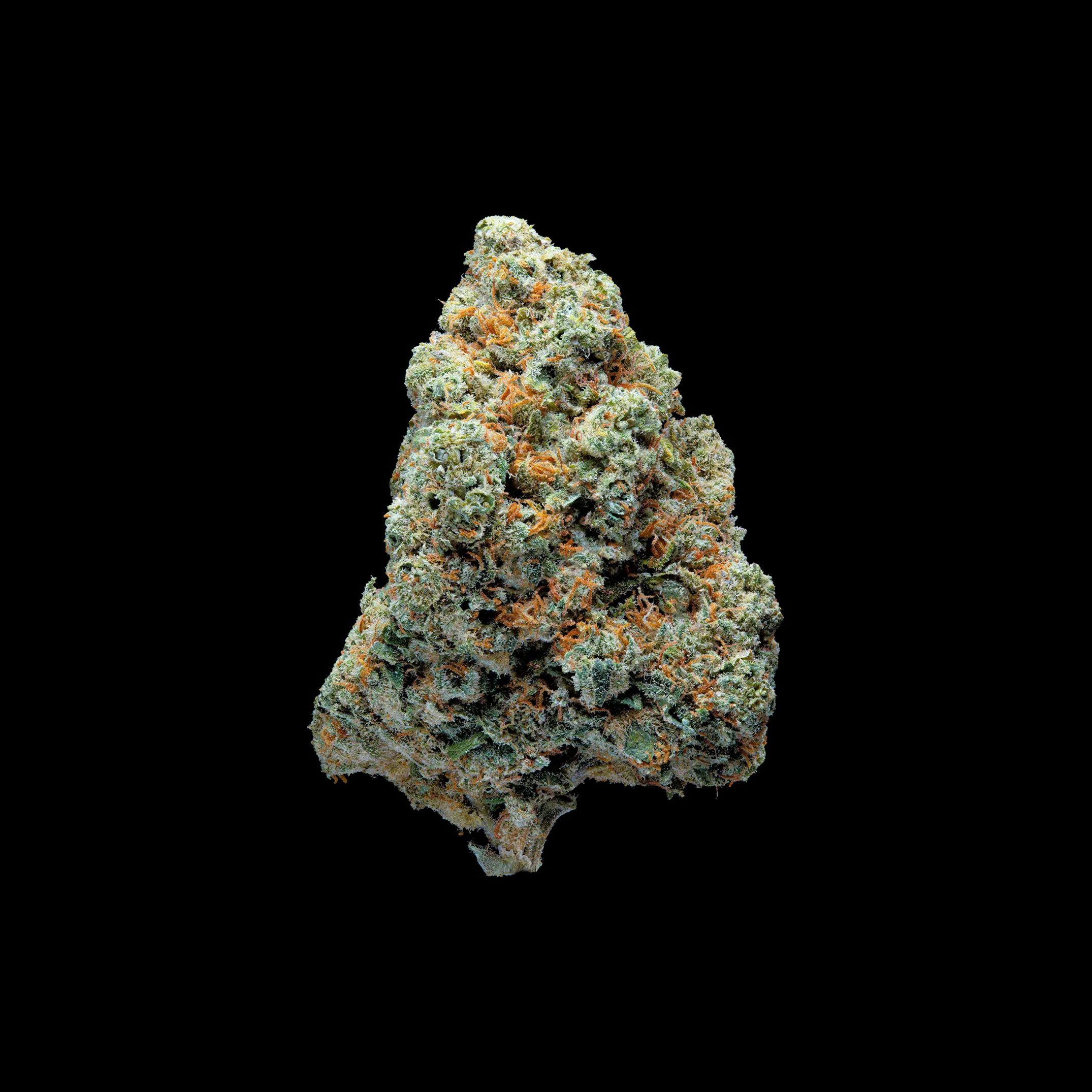 THCA-BLÜTEN-AMNESIA-HAZE-KAUFEN-DEUTSCHLAND