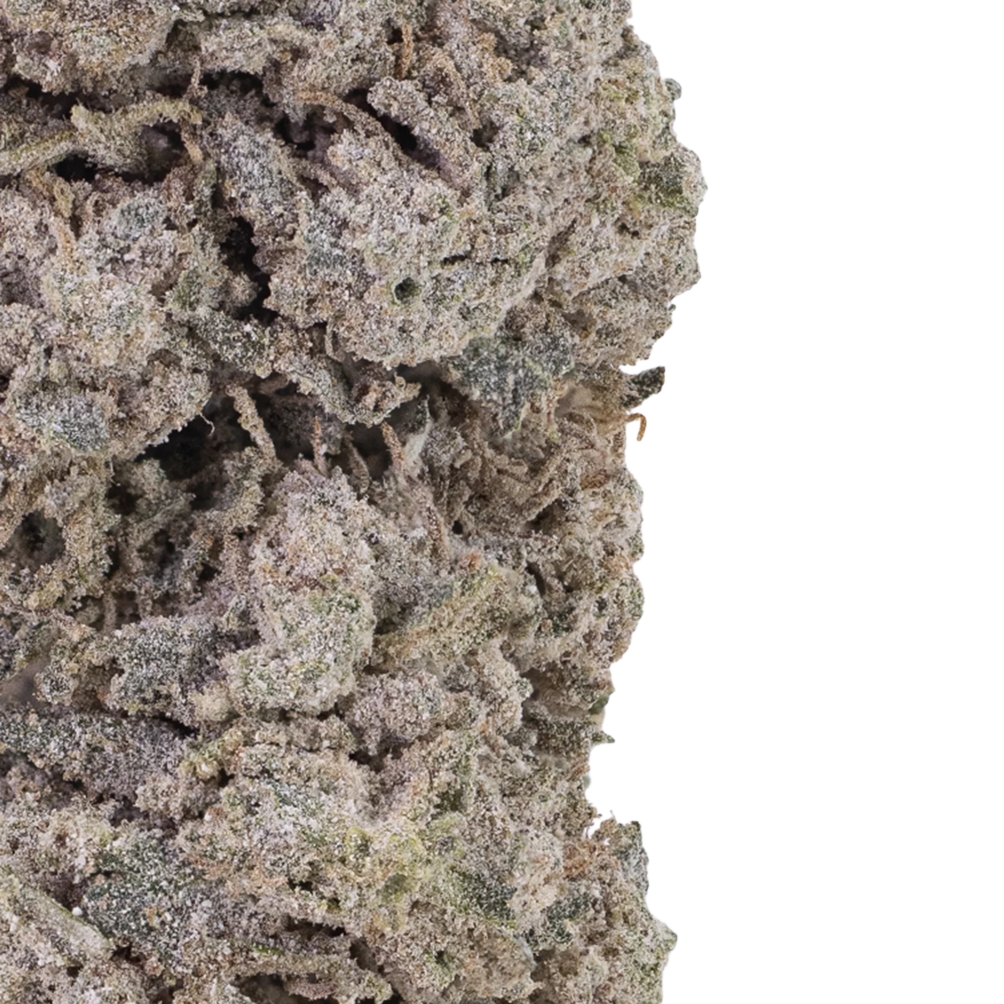 BUBBLEGUM