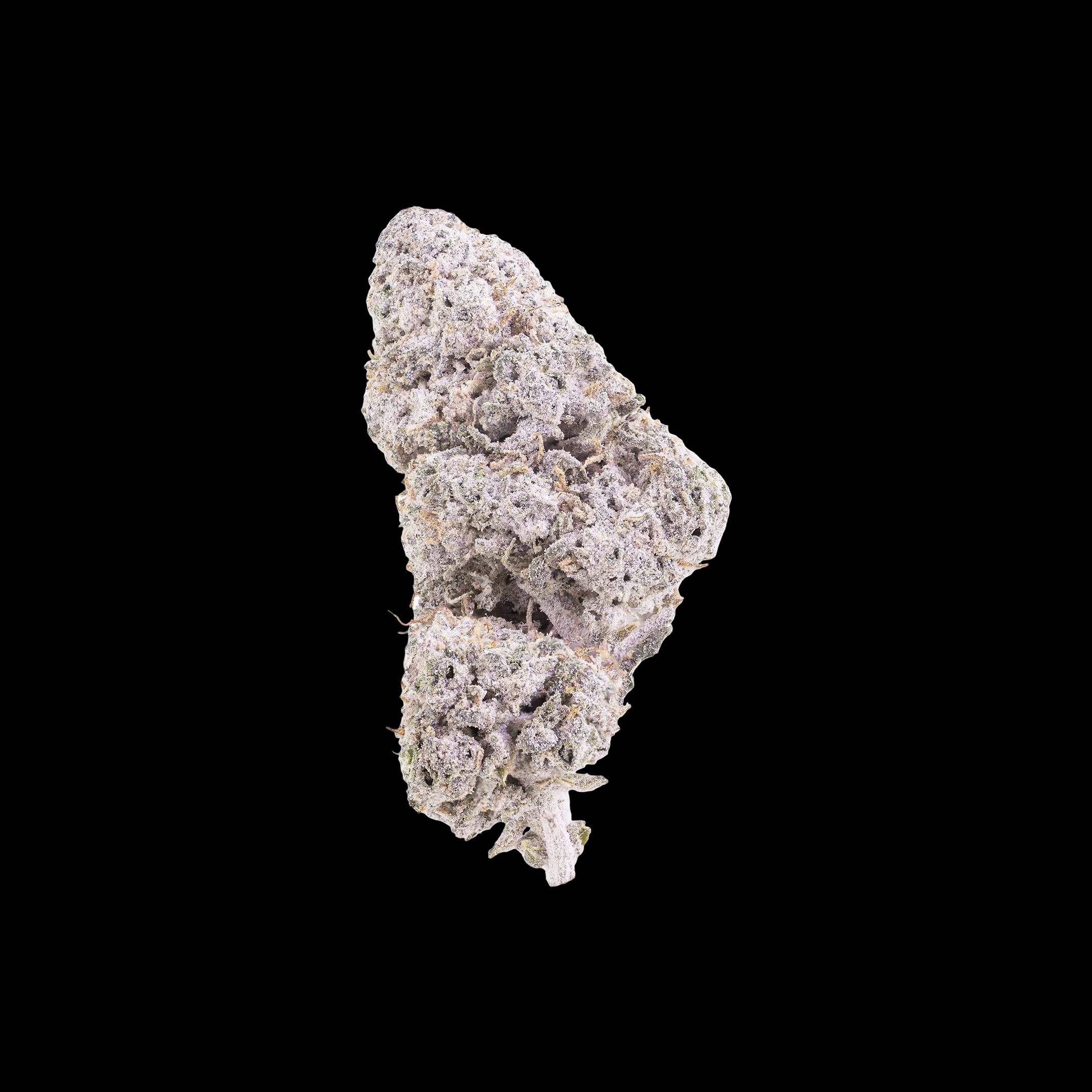 DURBAN POISON