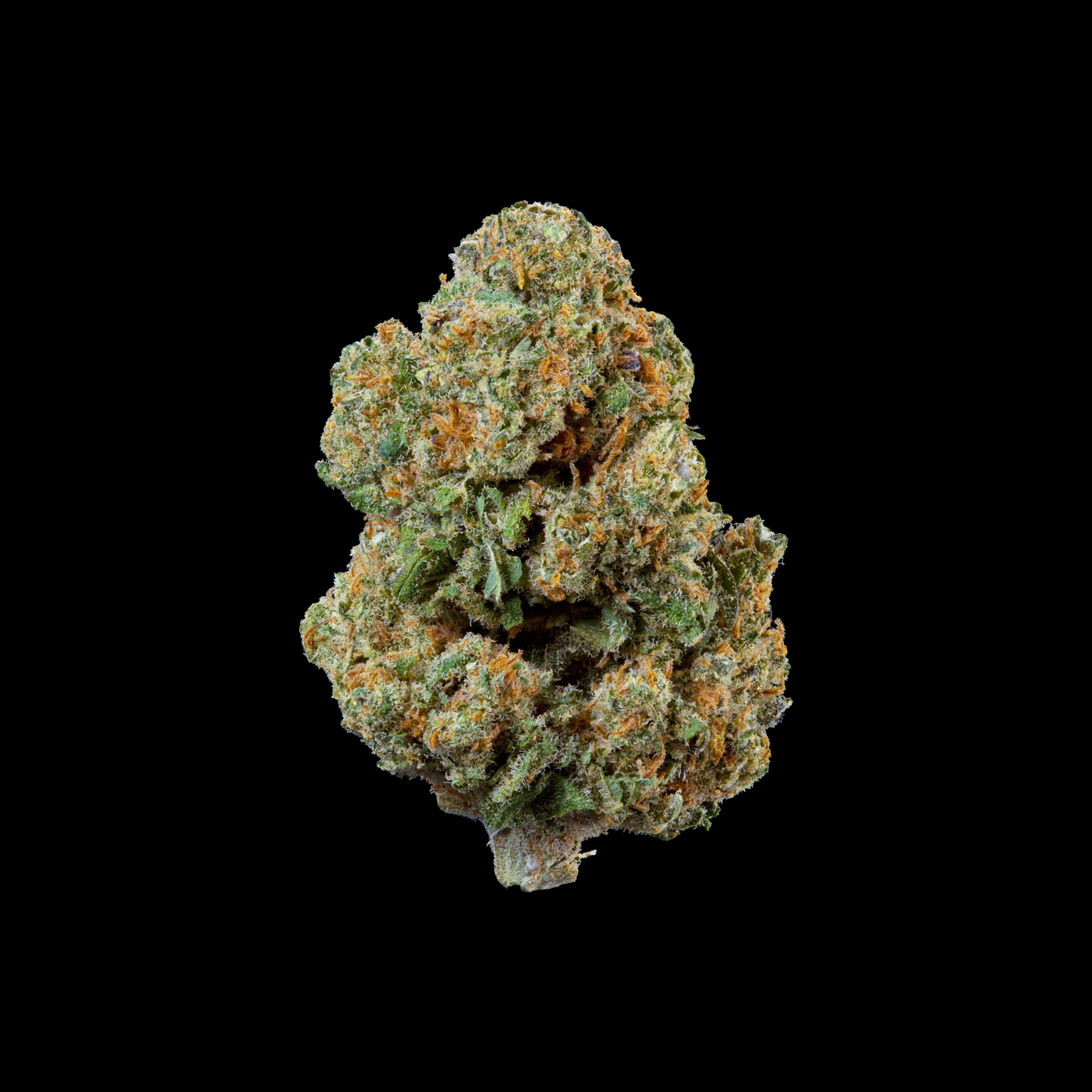 THCA-BLÜTEN-GÜNSTIG-GIRL-SCOUT-COOKIES