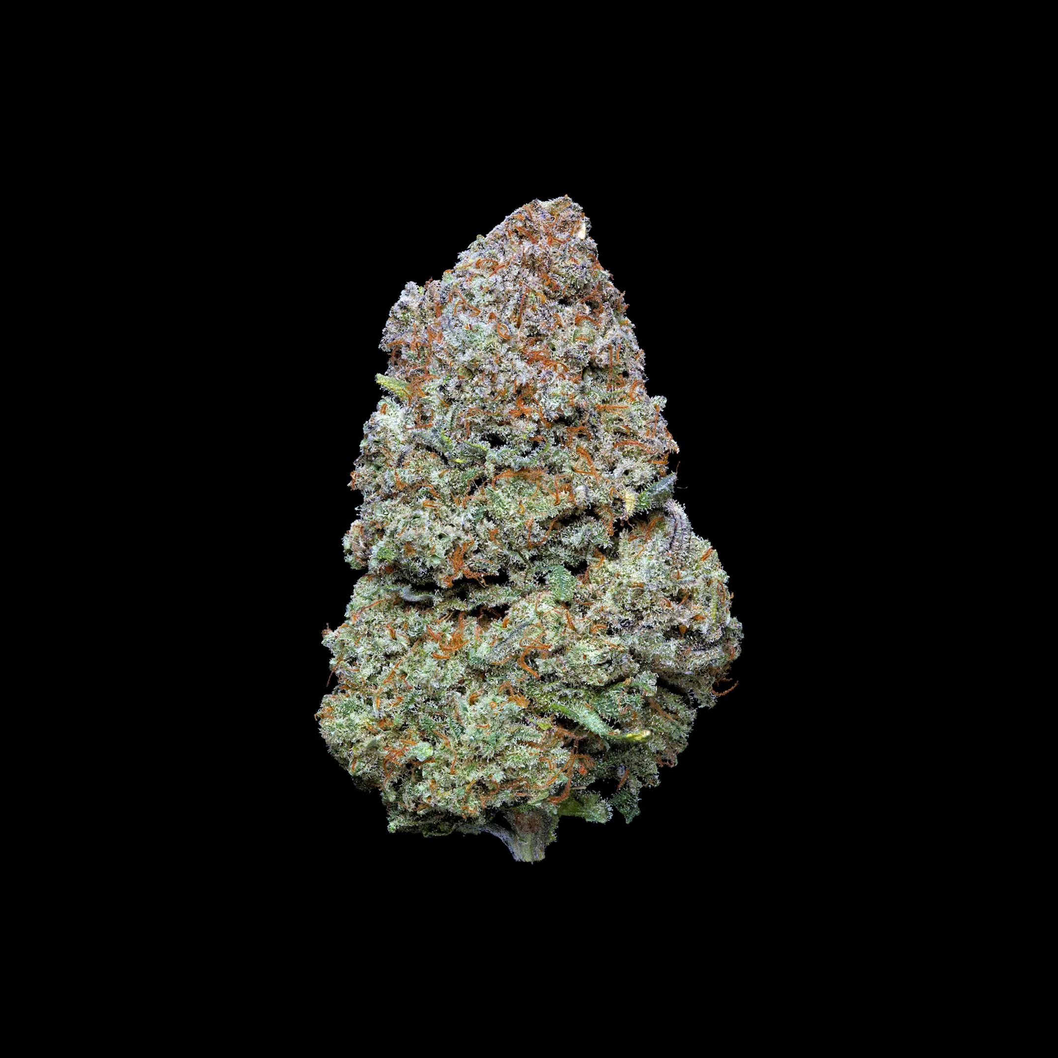 CALI-CBD-BLÜTE-KAUFEN-ICEWINE