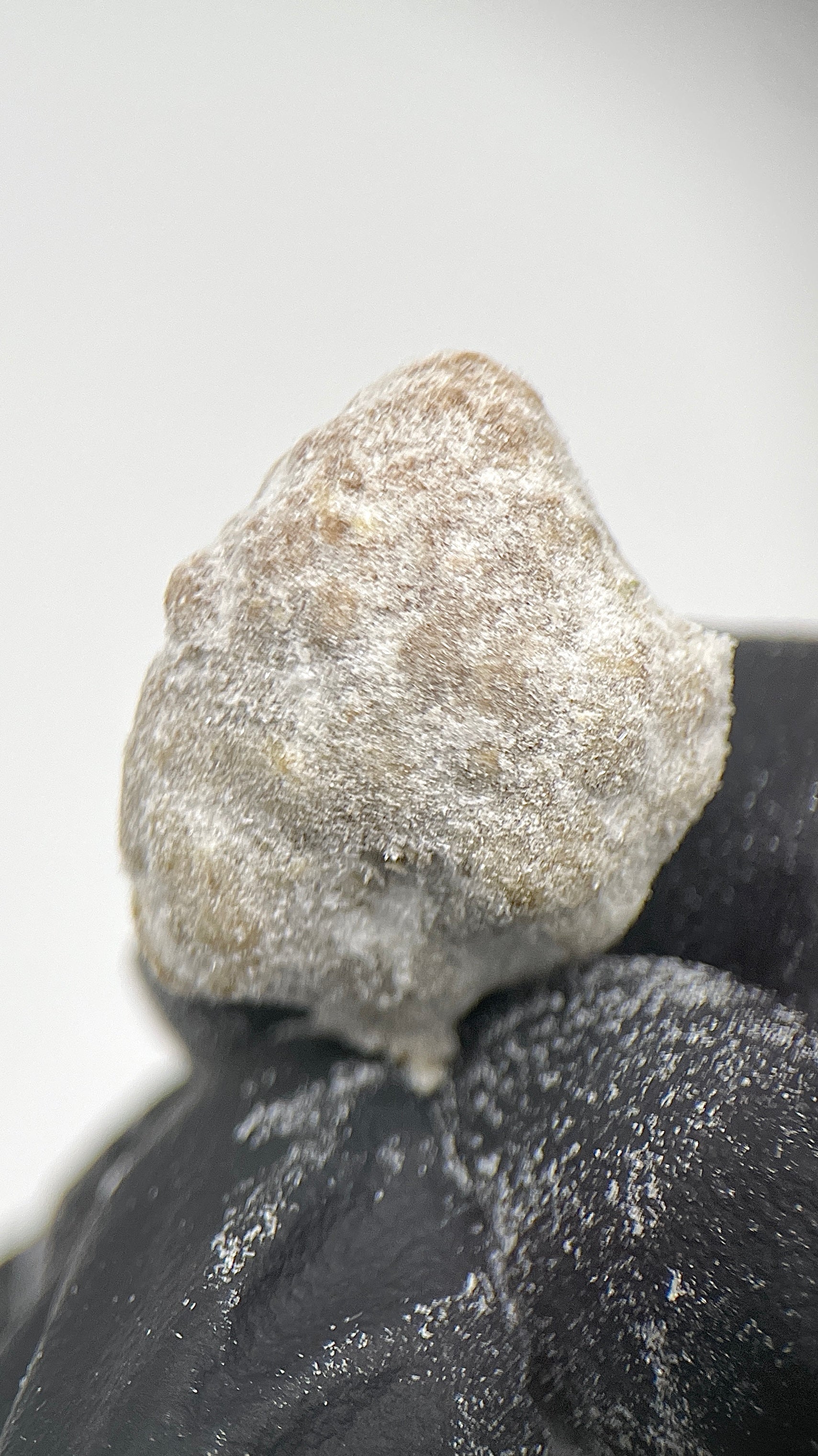 ICEROCKS
