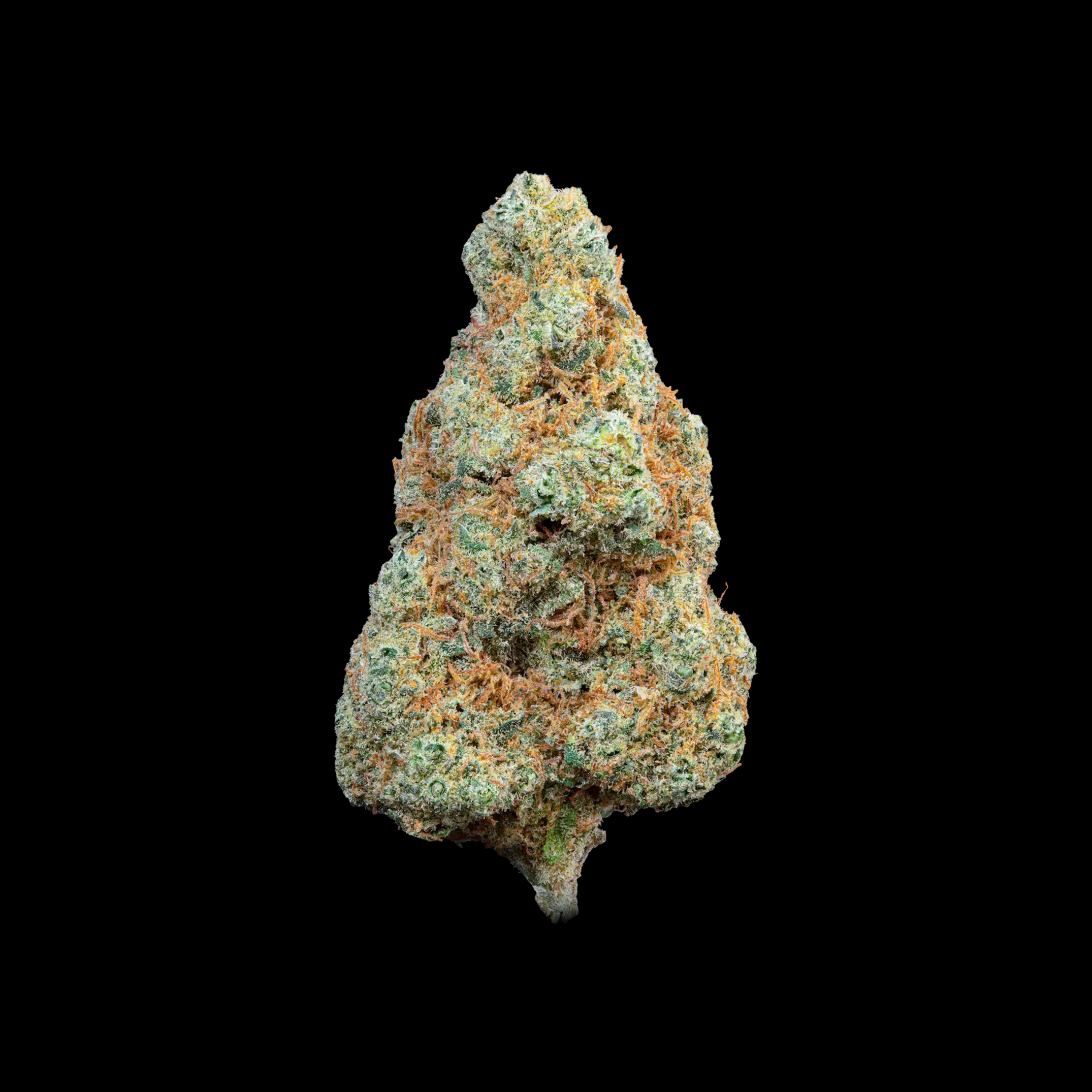 THCA-TOPSHELF-BLÜTE-MANDARIN-COOKIES-SHOP