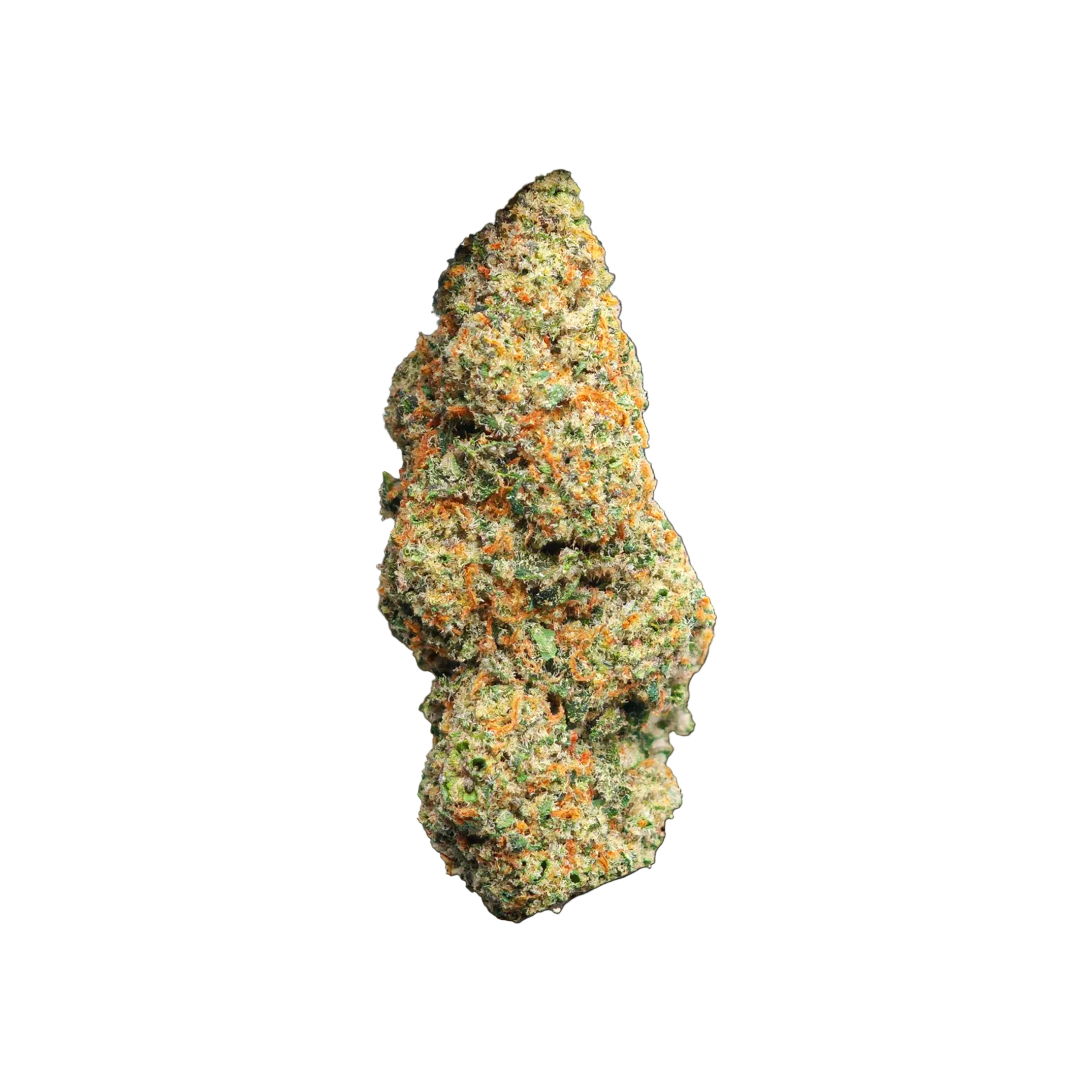 ORANGE CHEDDAR