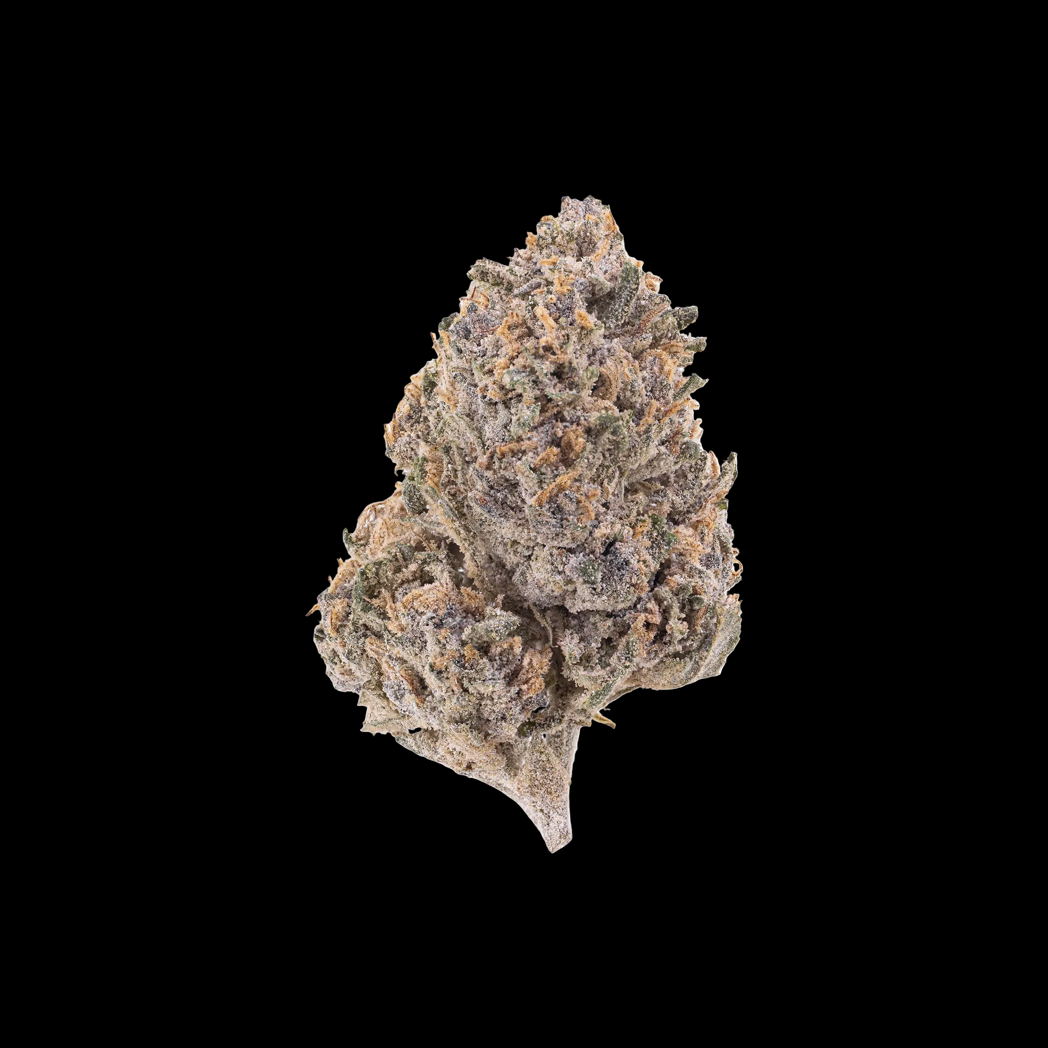 PINK PANTHER