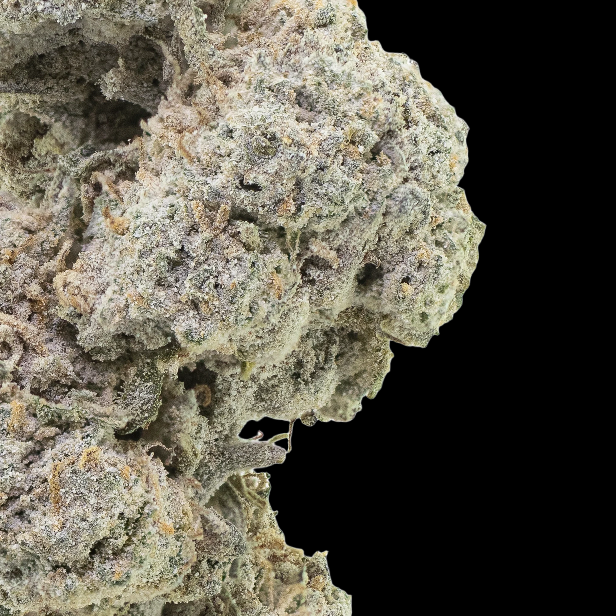 SUPER LEMON