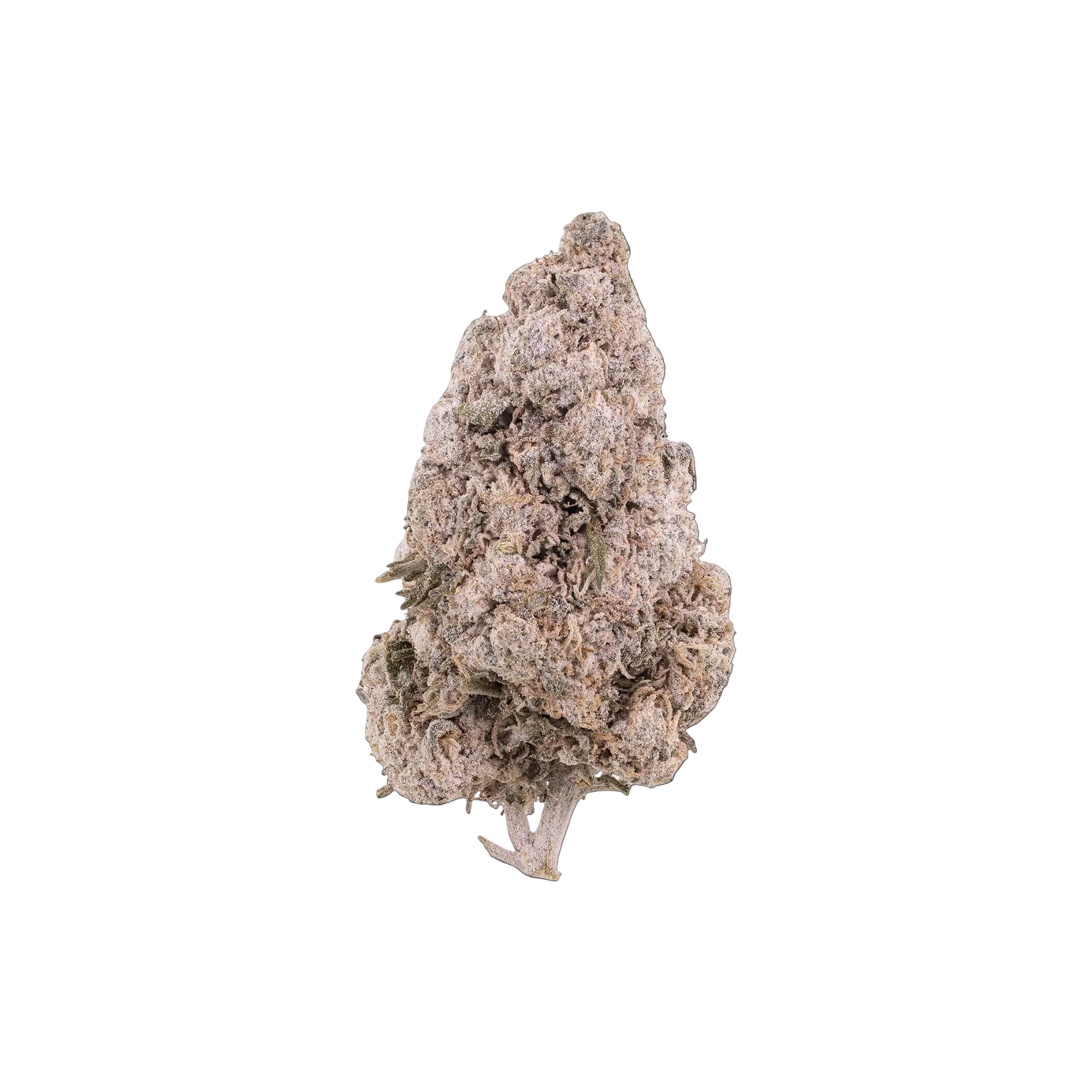 ZKITTLES