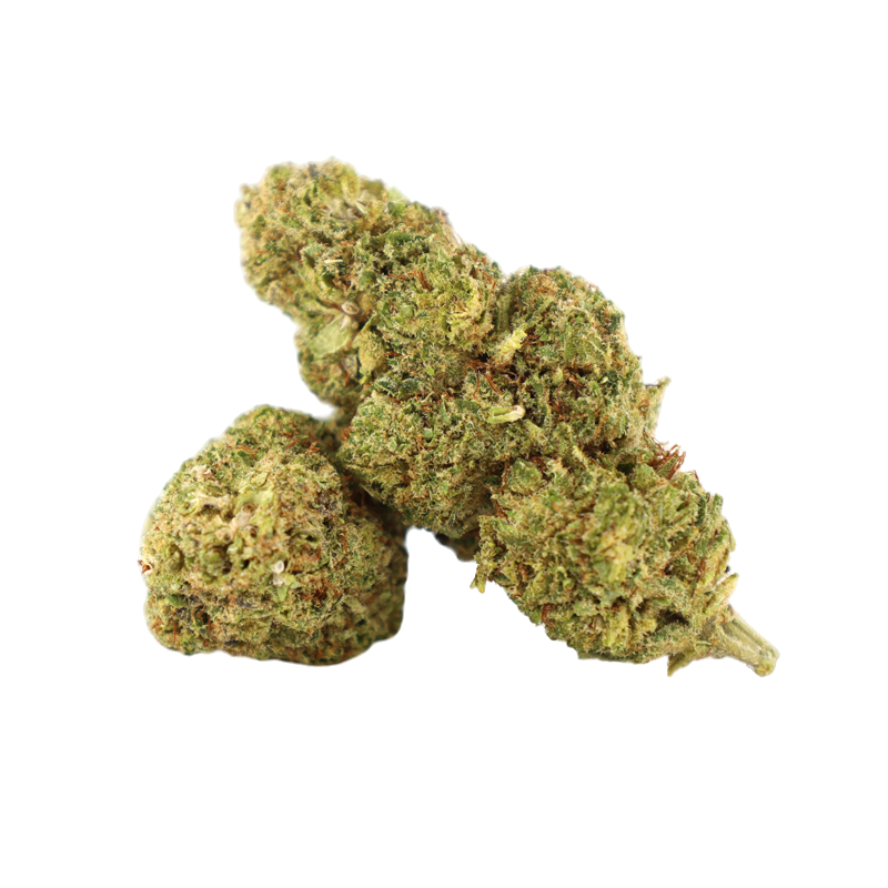 HONEY BUN (INFUSED) | COOKIES®