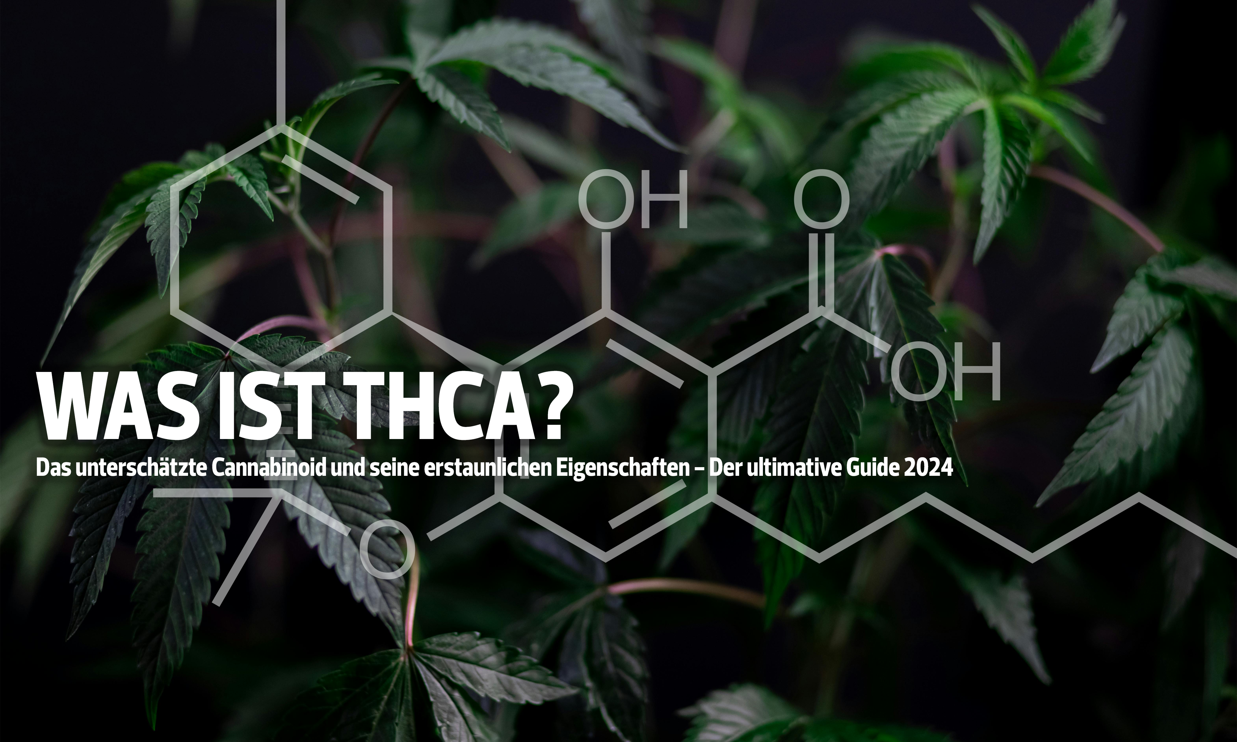 CANNABINOID-CANNABIS-KAUFEN-LEGAL-THCA-THC-WIRKUNG