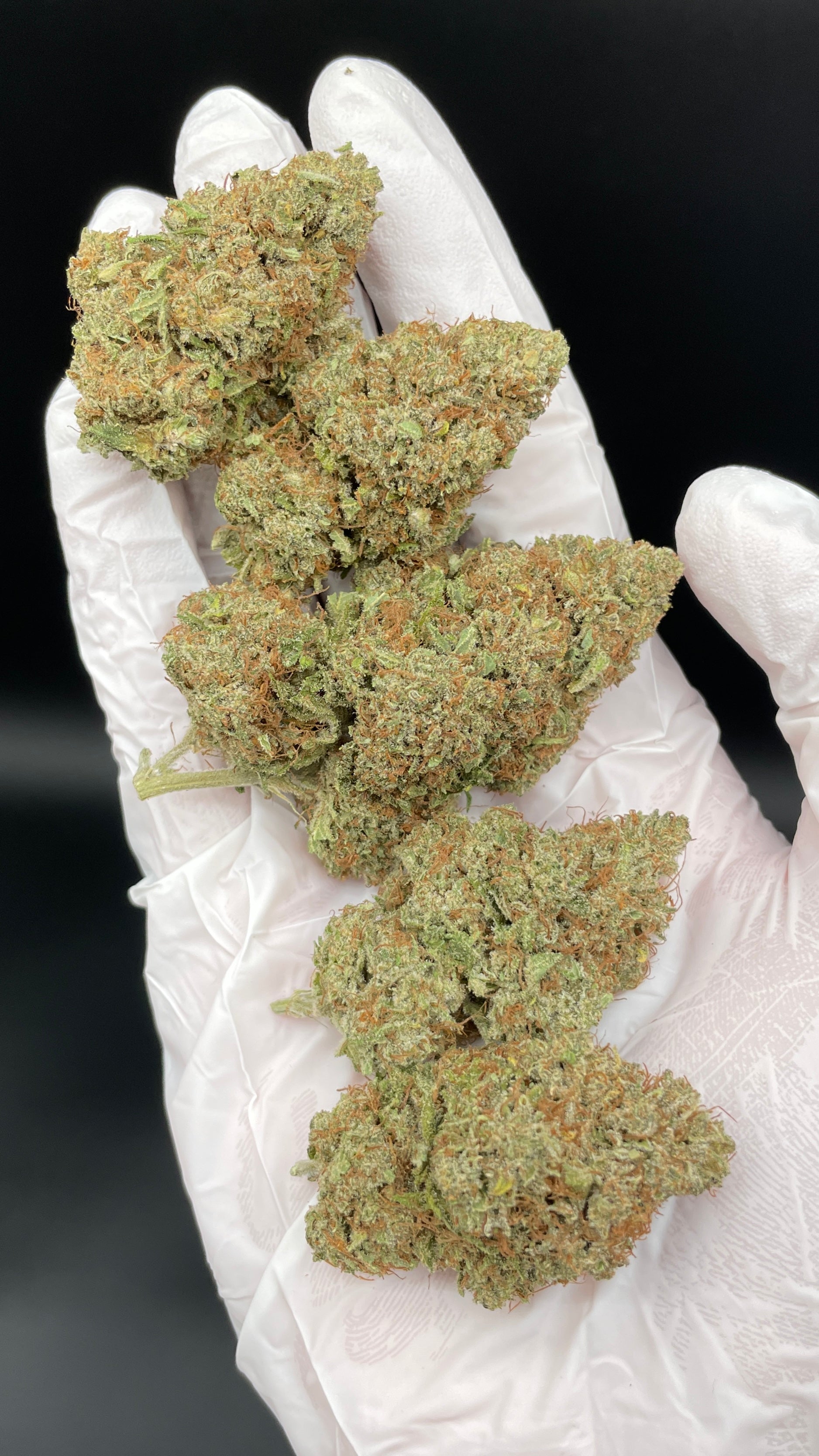 APPLE FRITTER