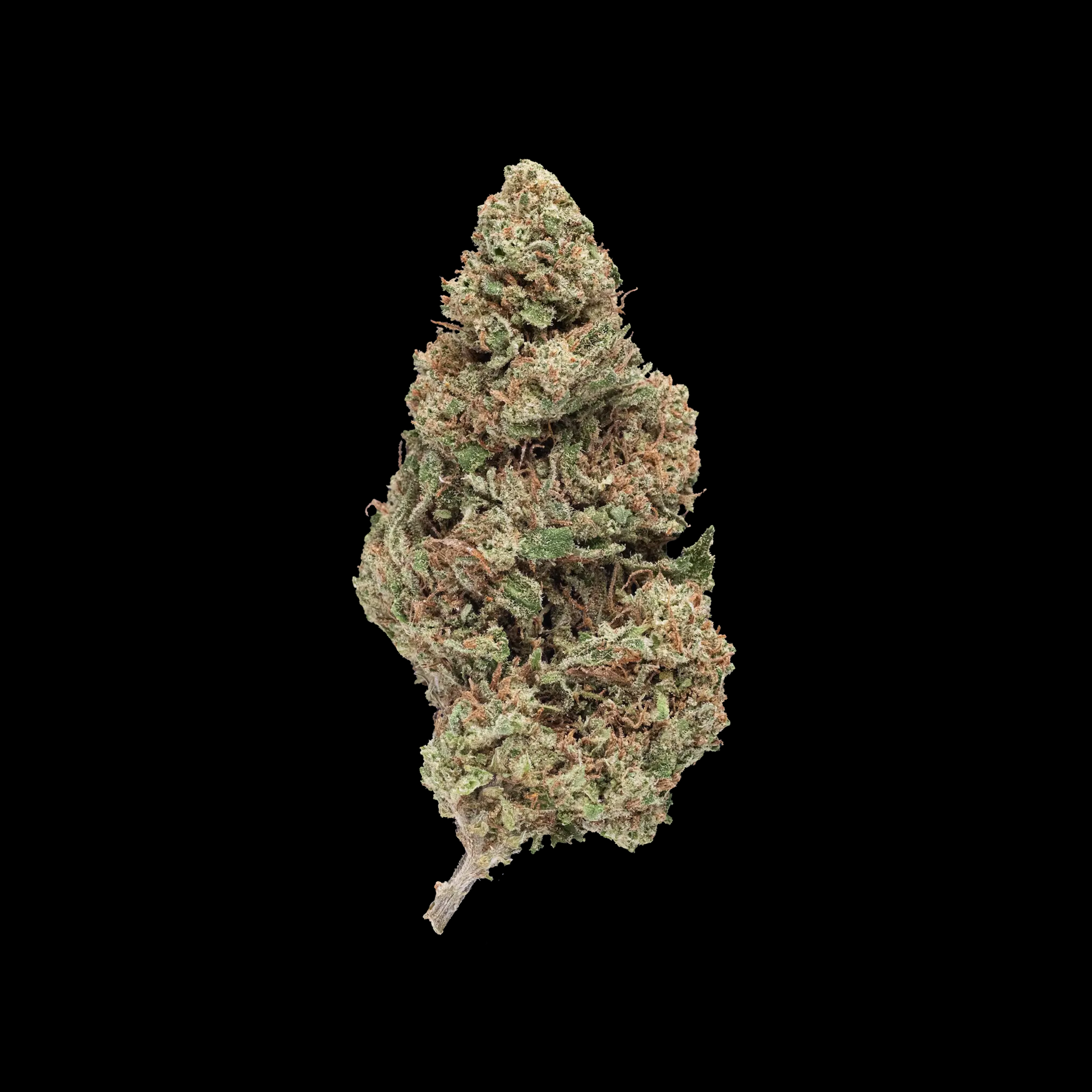 GREENHOUSE-THCA-FLOWER-CARAMEL-CREAM