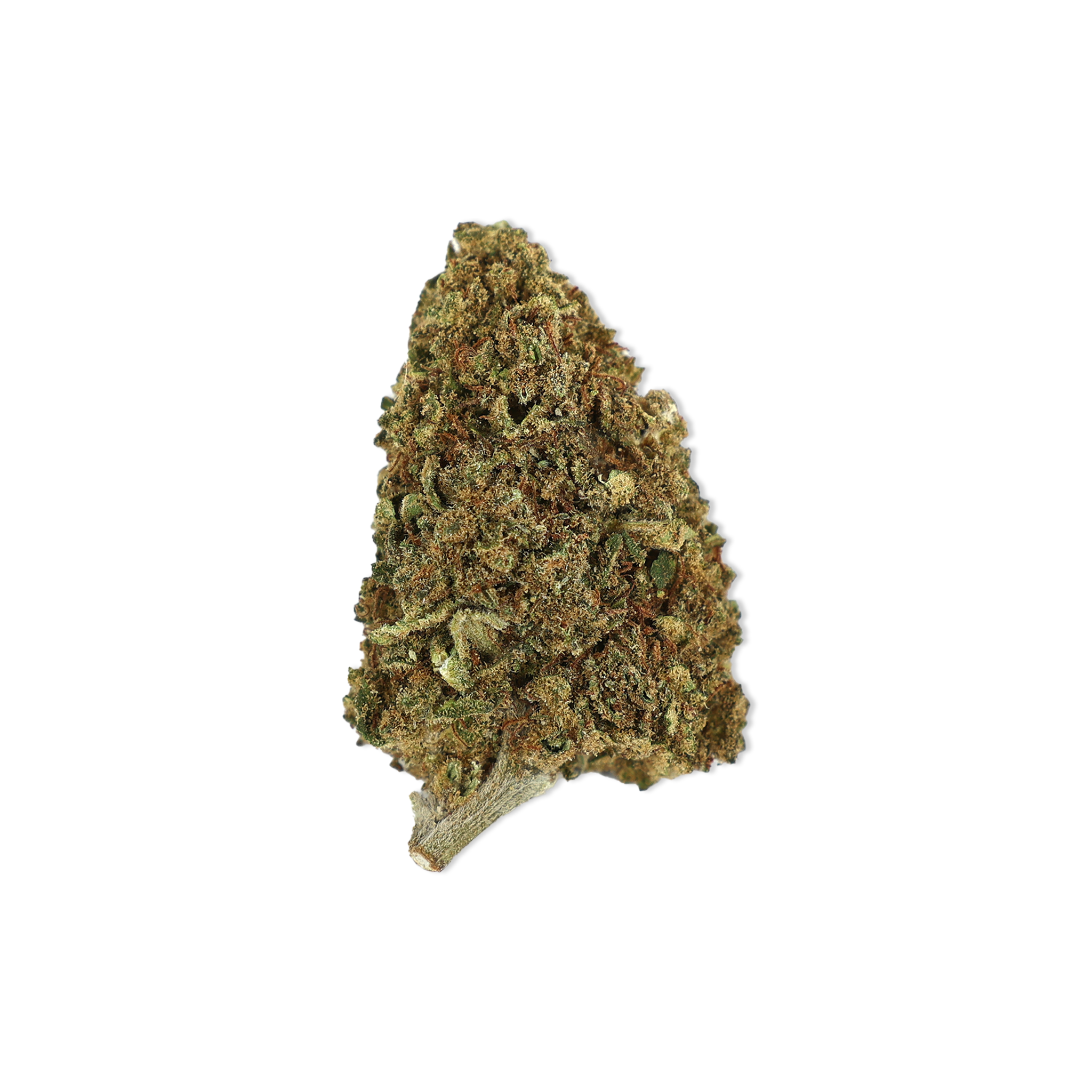 PREMIUM-GREENHOUSE-CBD-BLÜTE-DREAM-QUEEN