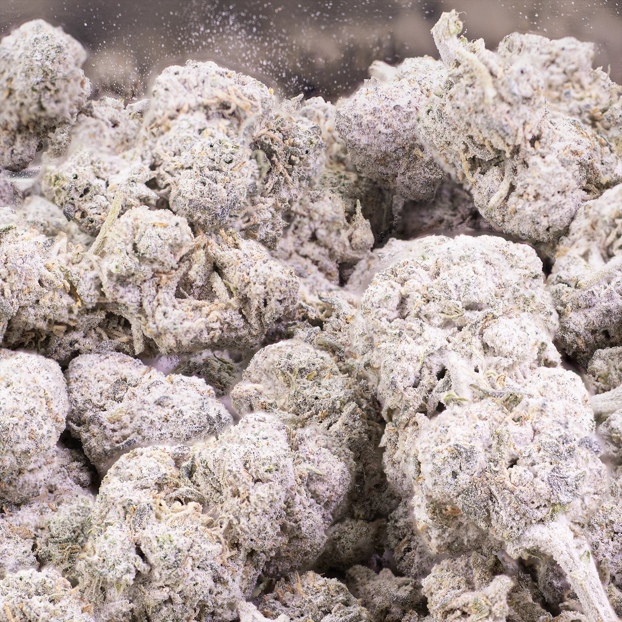 DURBAN POISON