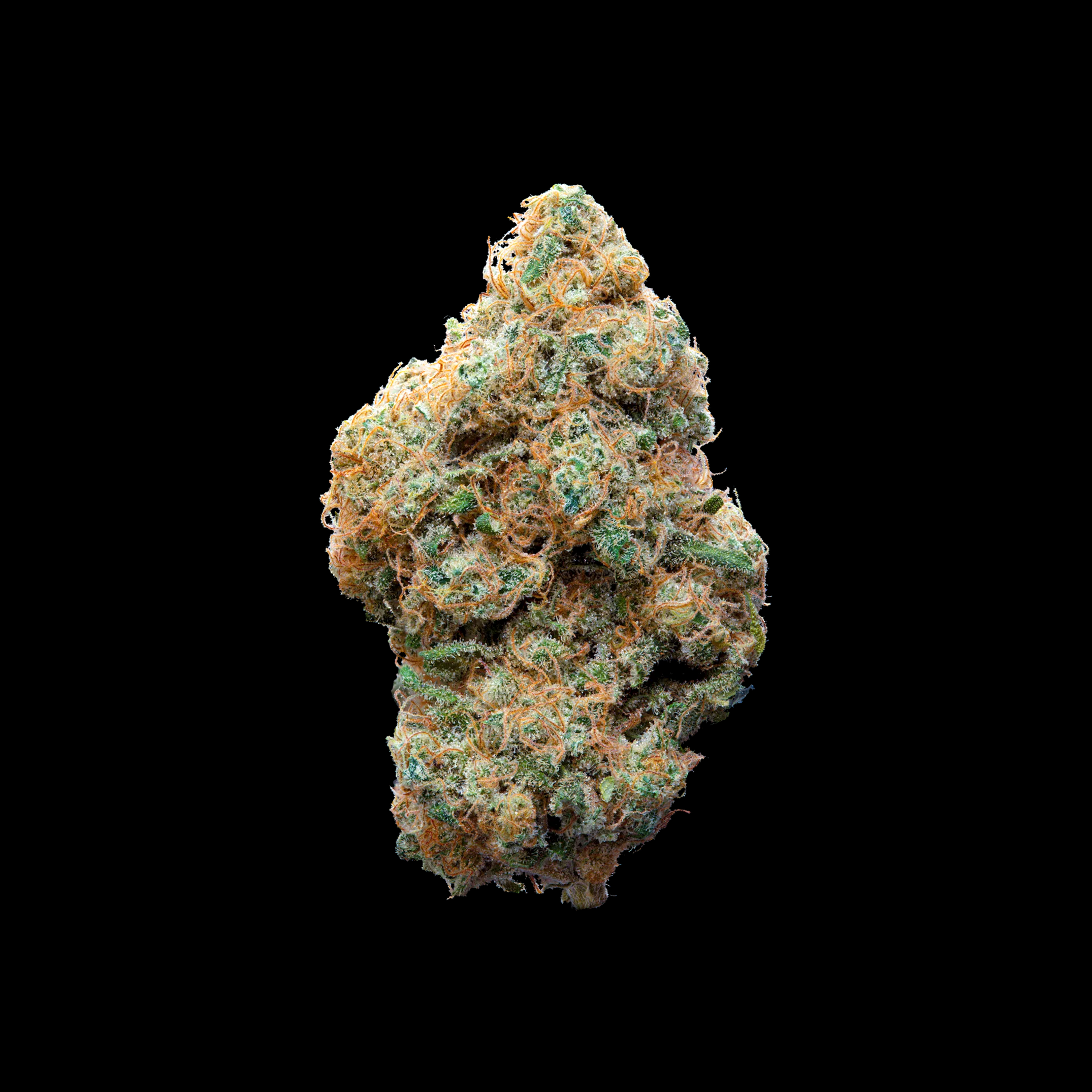 TOPSHELF-CBD-FLOWER-FEAR-OF-GOD