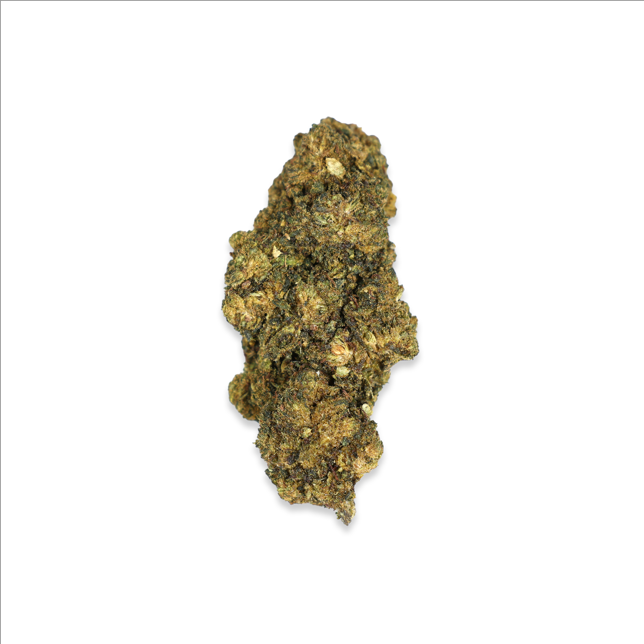 PREMIUM-10-OH-BLÜTE-GORILLA-GLUE