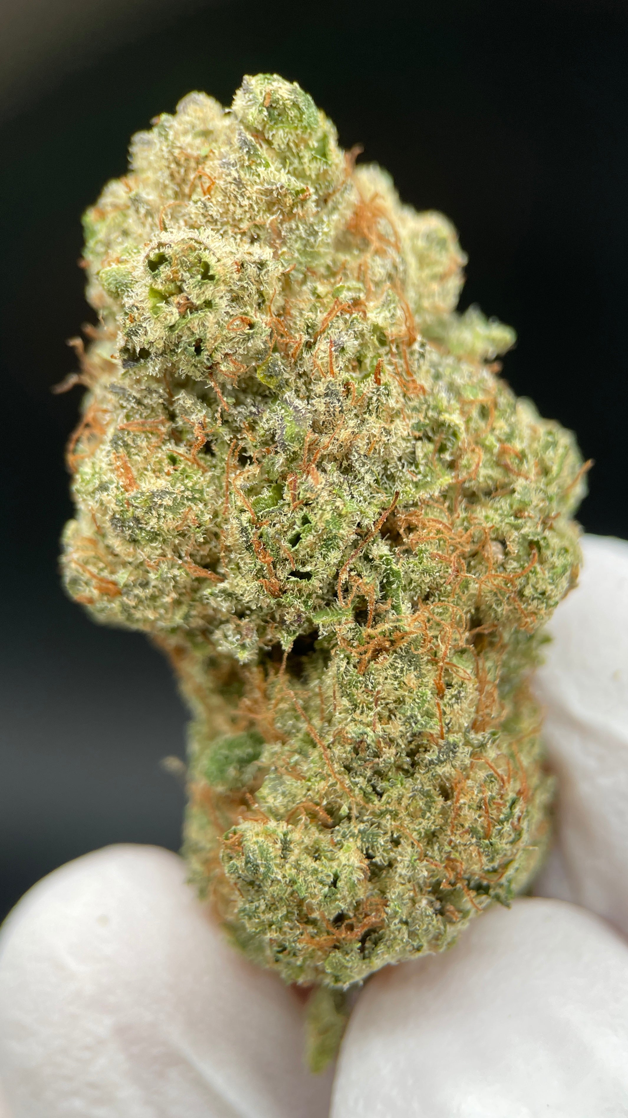 LONDON POUND CAKE