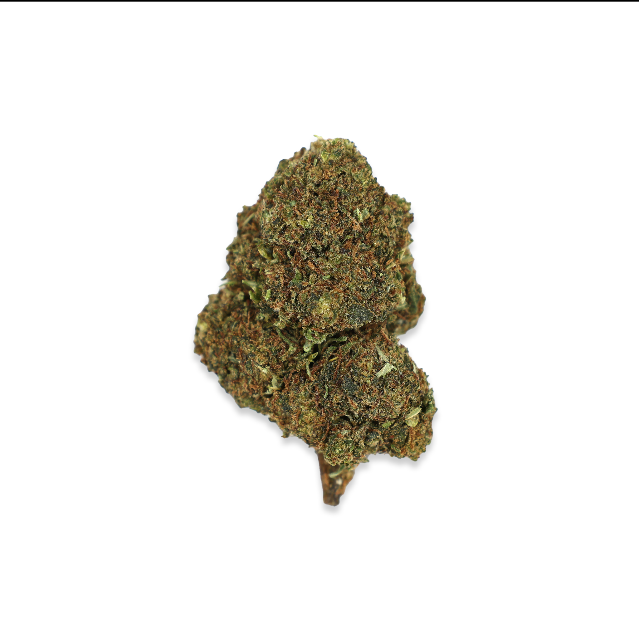 PREMIUM-10-OH-BLÜTE-OG-KUSH