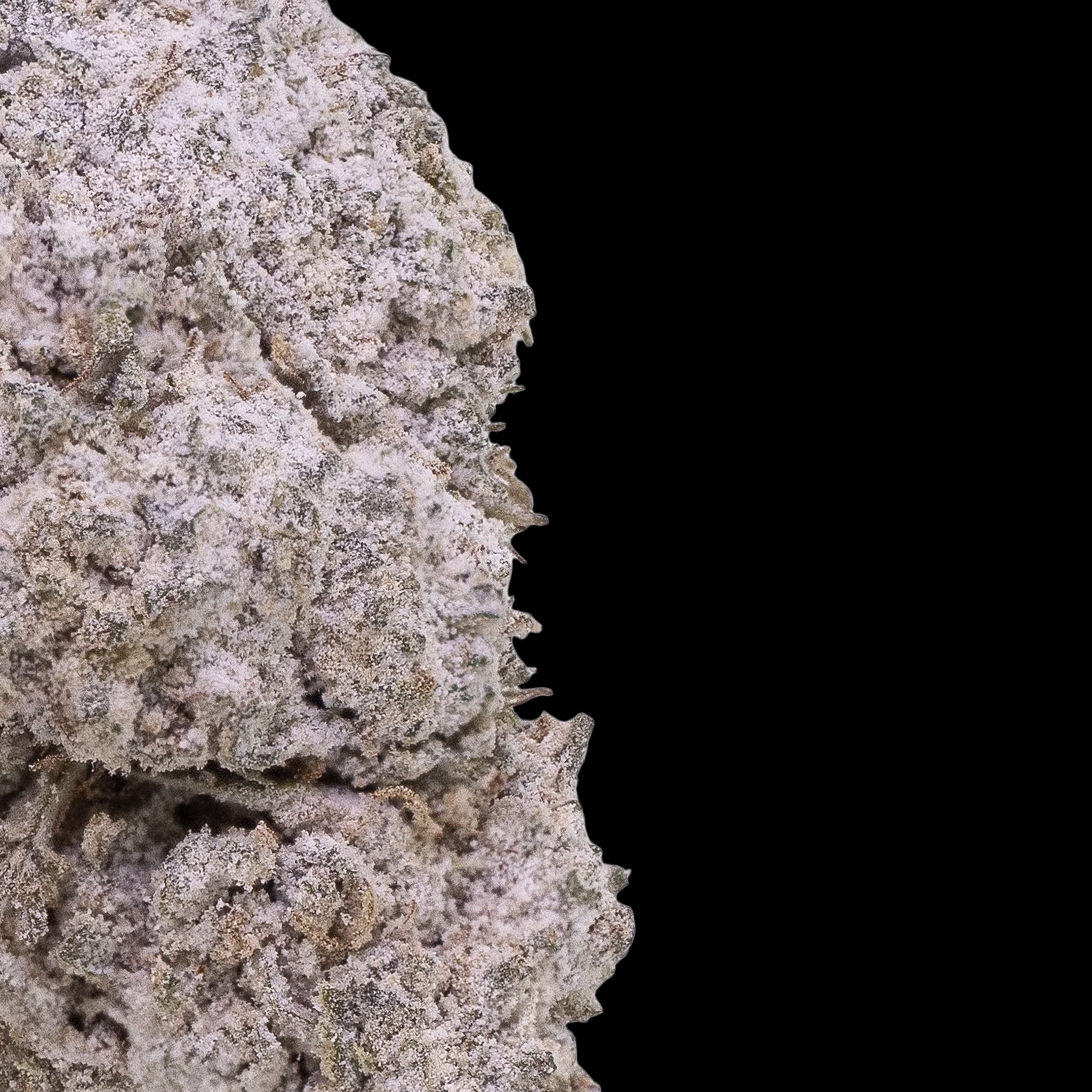 OG KUSH