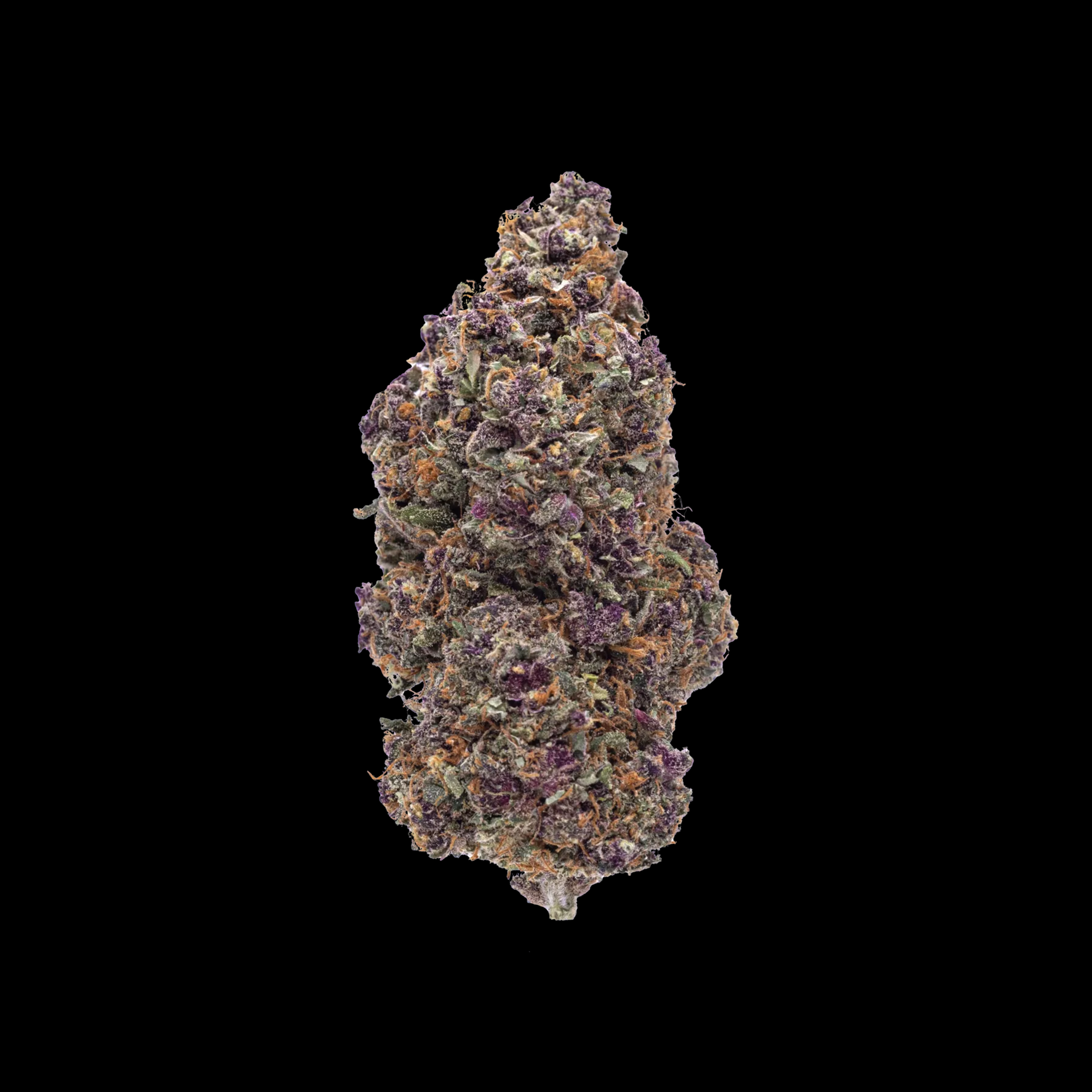 PREMIUM-CBD-BLÜTEN-LILA-PINK-VOID