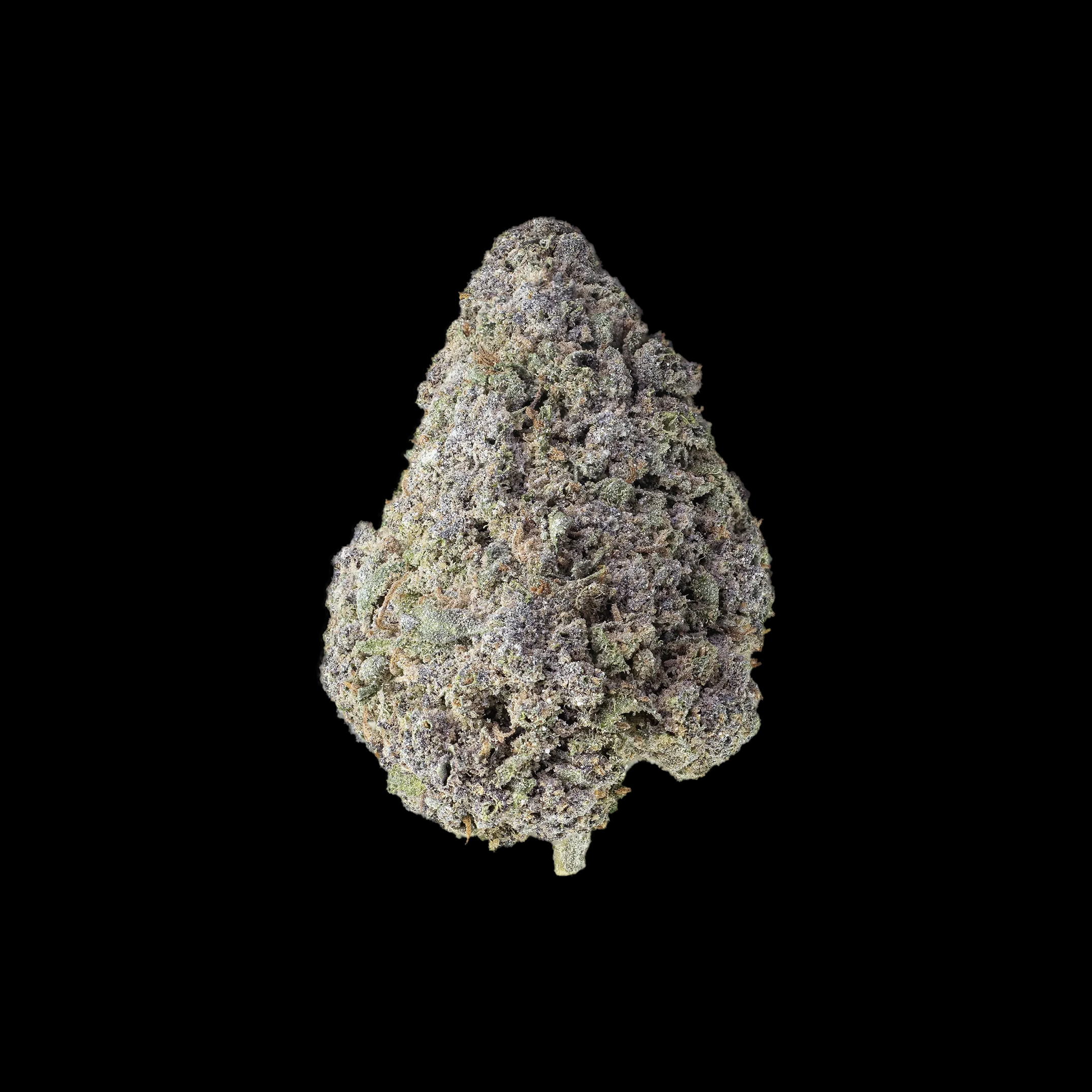 PURPLE CANDY