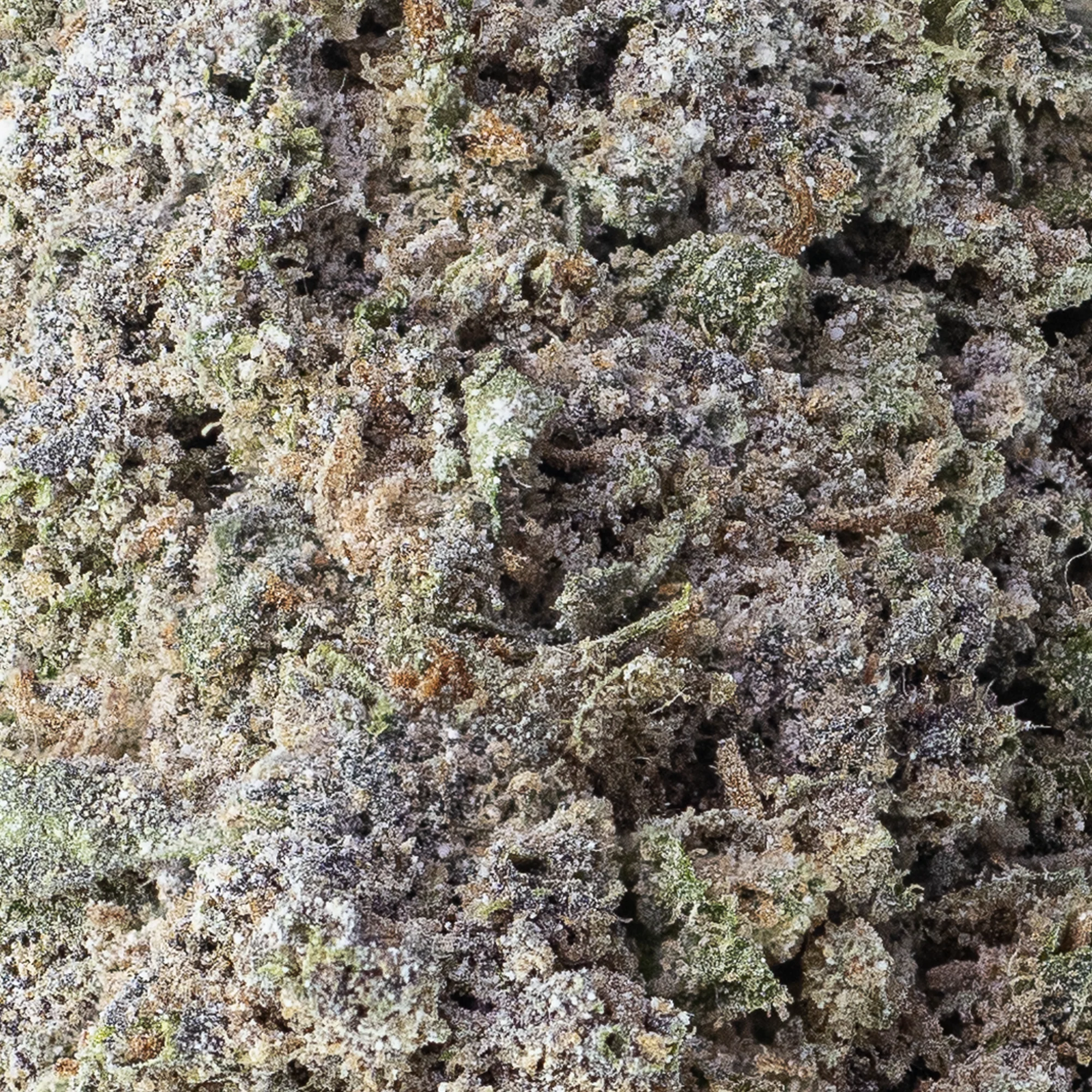PURPLE CANDY