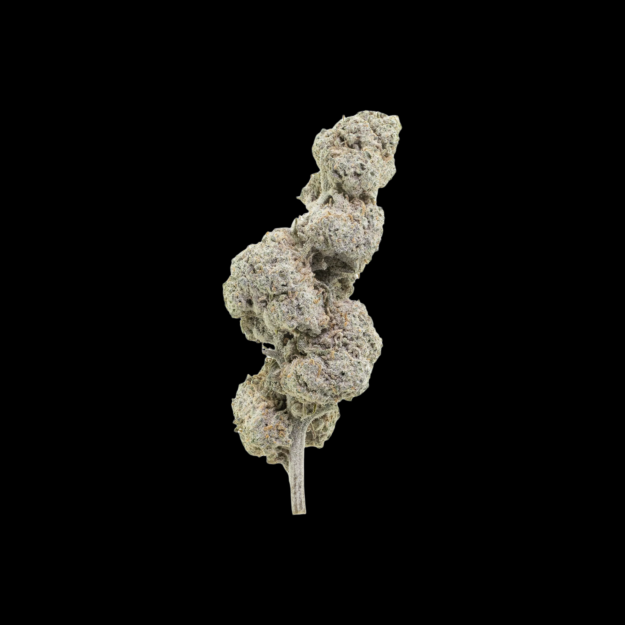 SUPER LEMON