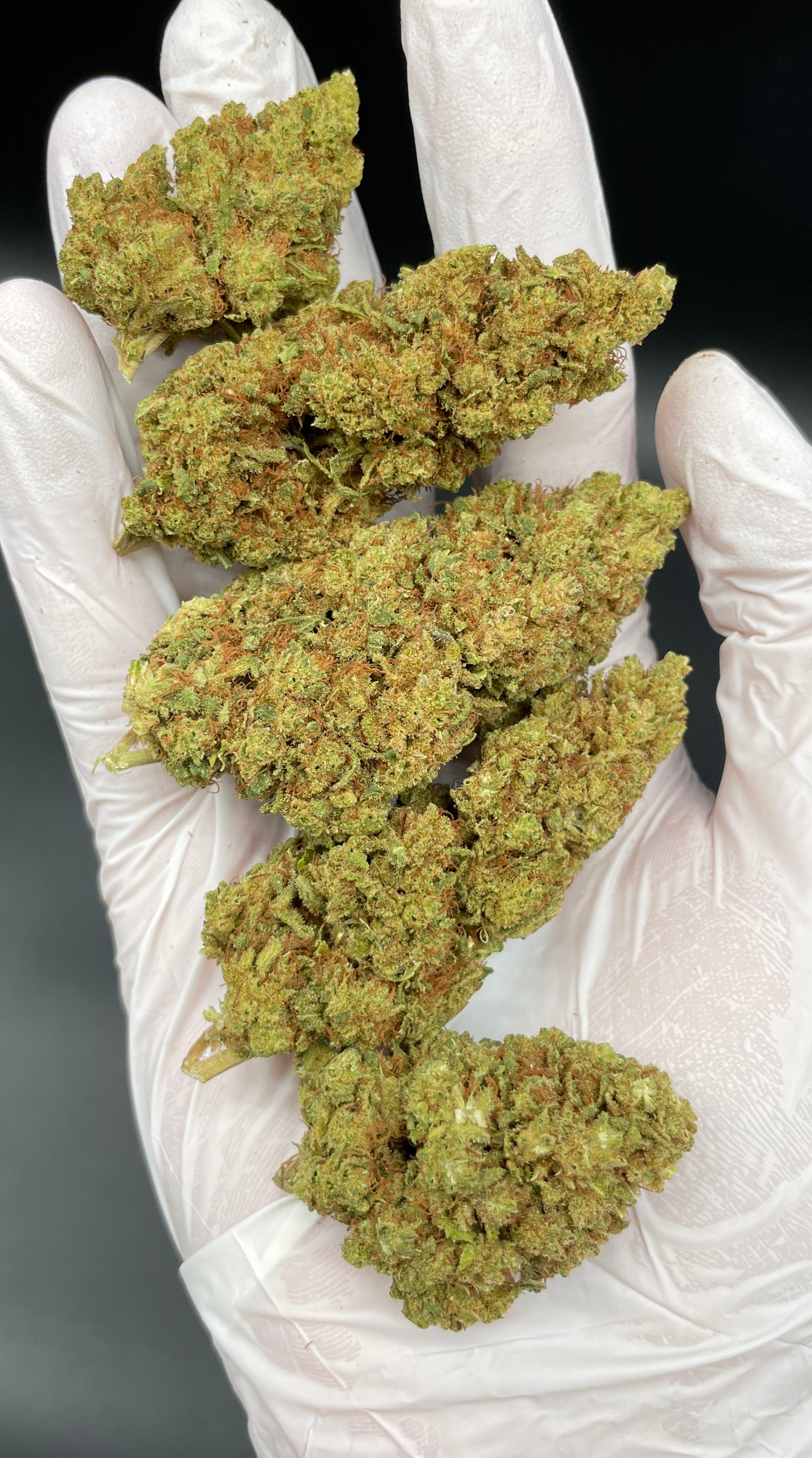 LEMON HAZE