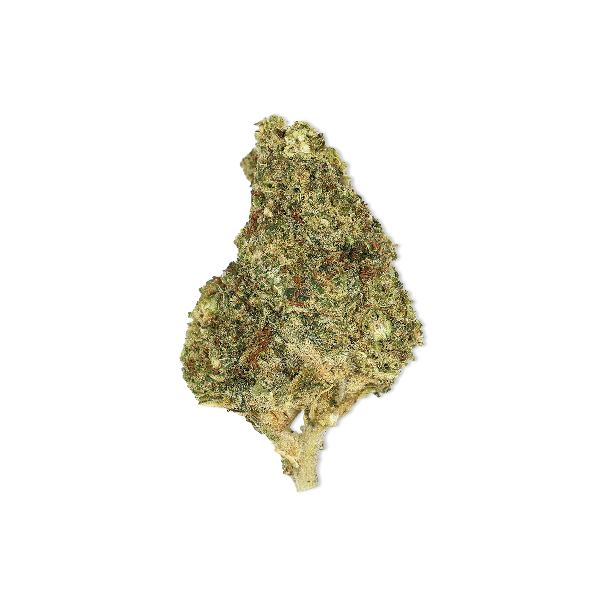 PREMIUM-THCA-BLÜTEN-SUPER-LEMON-HAZE-KAUFEN