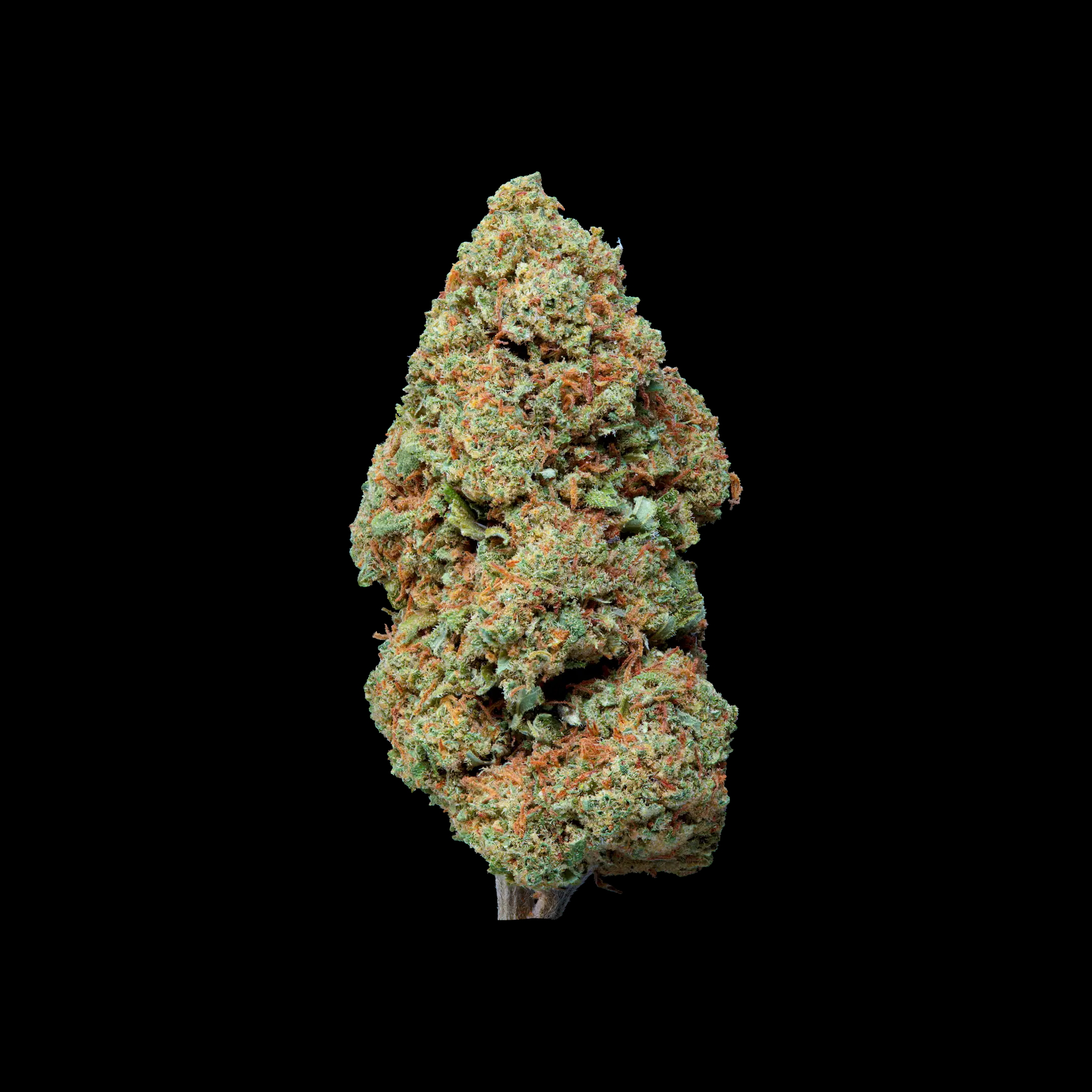 TUTTI FRUTTI