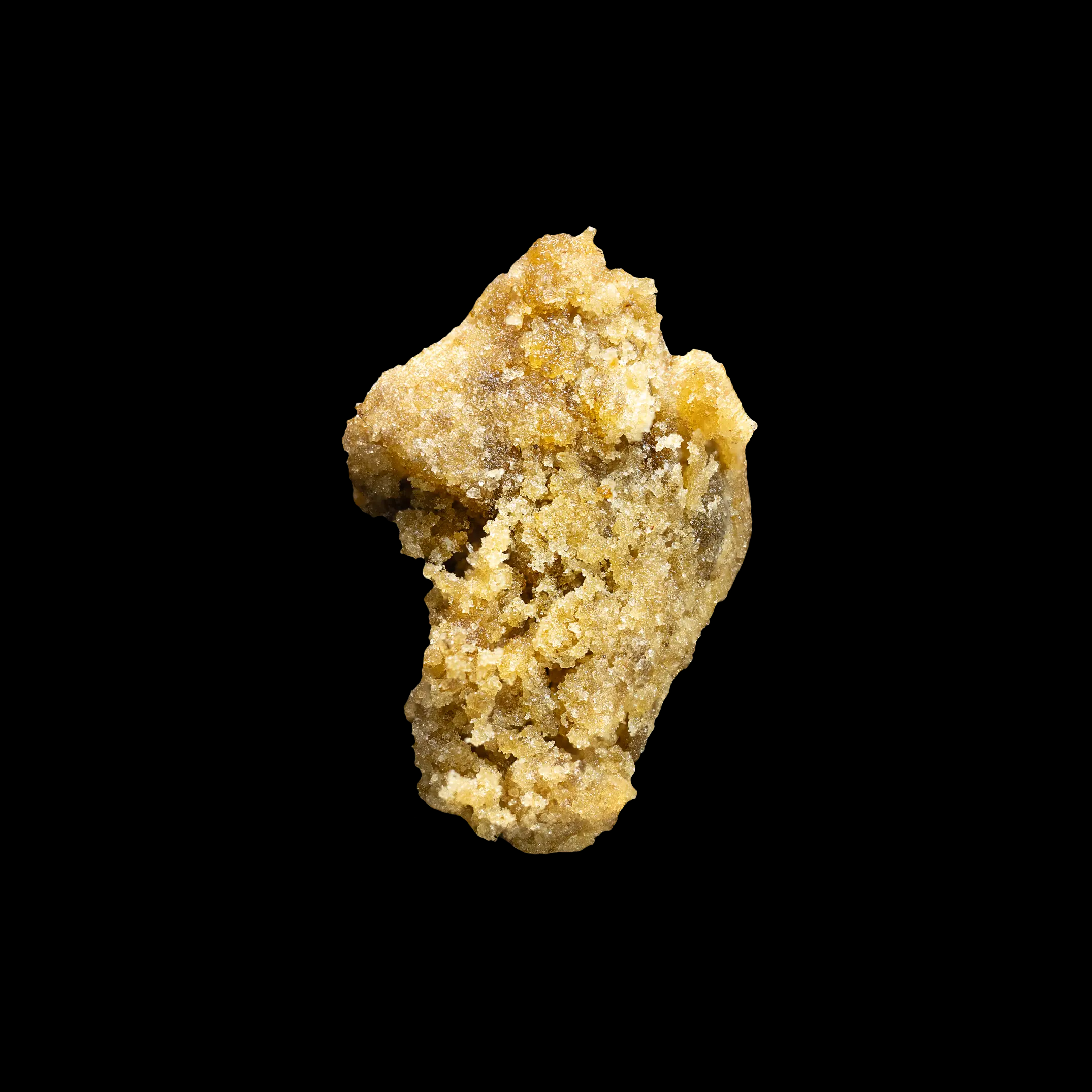 ZOMBIE (FULL MELT)