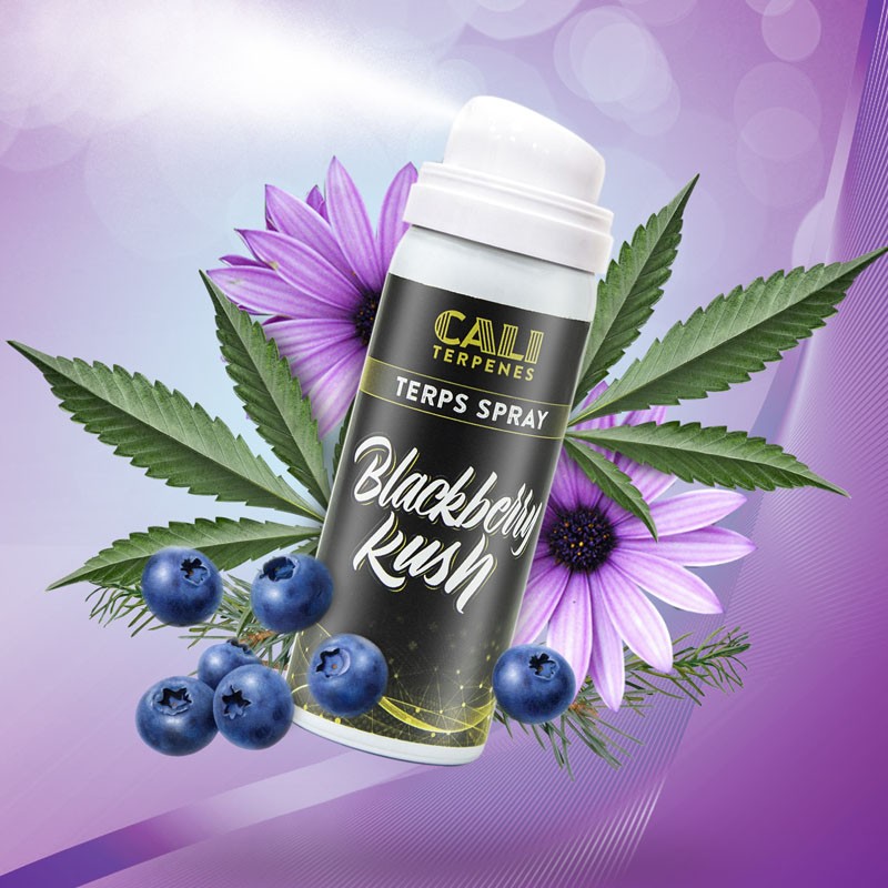 TERPS-SPRAY-CALI-TERPENES-CANNABISAROMEN-AROMATISIERUNG-LEBENSMITTELAROMA-CANNABIS-HANFBLÜTEN-TERPENE-SPRAY-REINE-AROMATHERAPIE-BLACKBERRY-KUSH