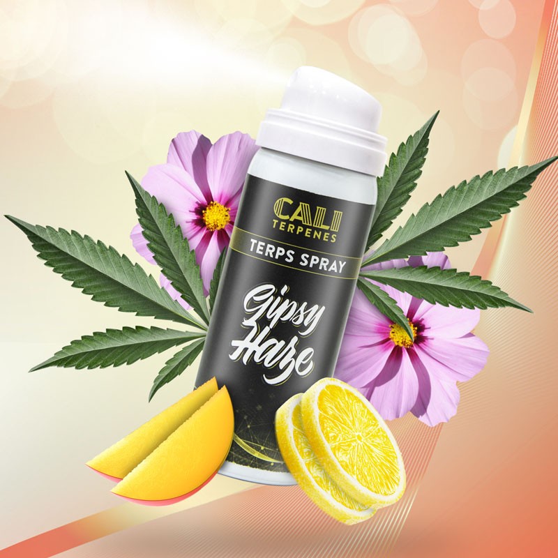 TERPS-SPRAY-CALI-TERPENES-CANNABISAROMEN-AROMATISIERUNG-LEBENSMITTELAROMA-CANNABIS-HANFBLÜTEN-TERPENE-SPRAY-REINE-AROMATHERAPIE-GIPSY-HAZE